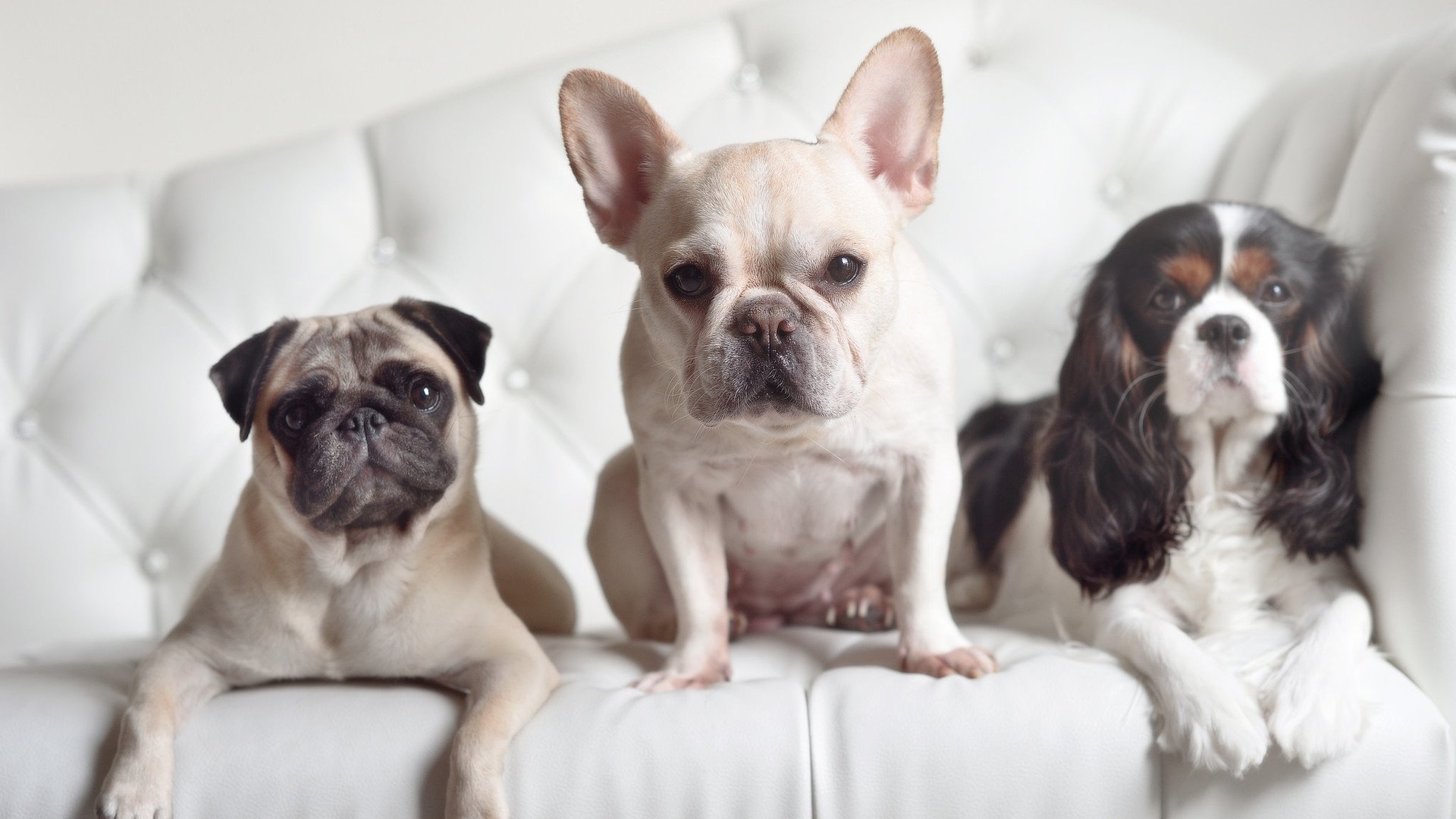 日本媒体赞赏杭州亚运会开幕式的科技与环保理念。，2021年日本亚运会