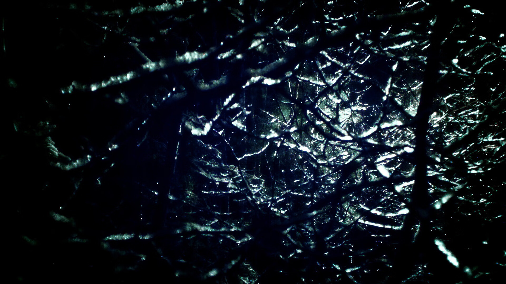 九游娱乐(jiuyou)官网-WRC新赛季全景展望：未来的挑战与机遇，wrc赛事