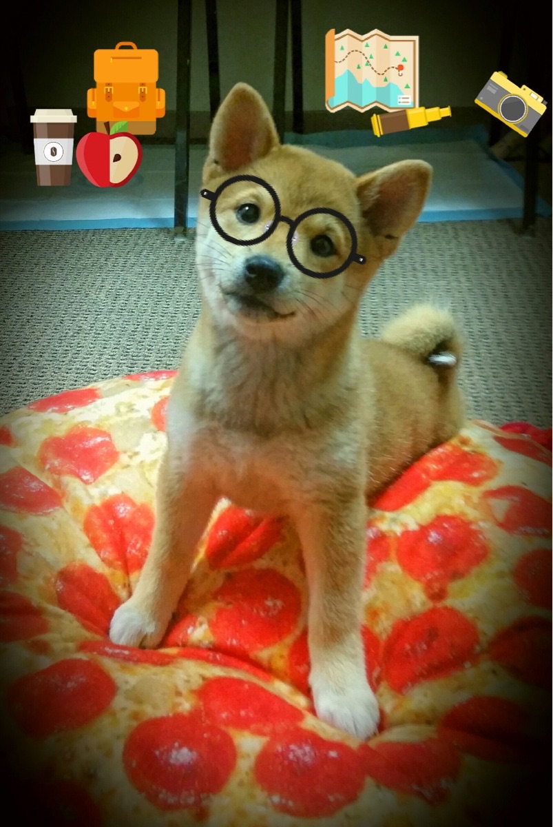 《【行业洞察】全球电竞产业链的深度布局》，世界电竞产业现状