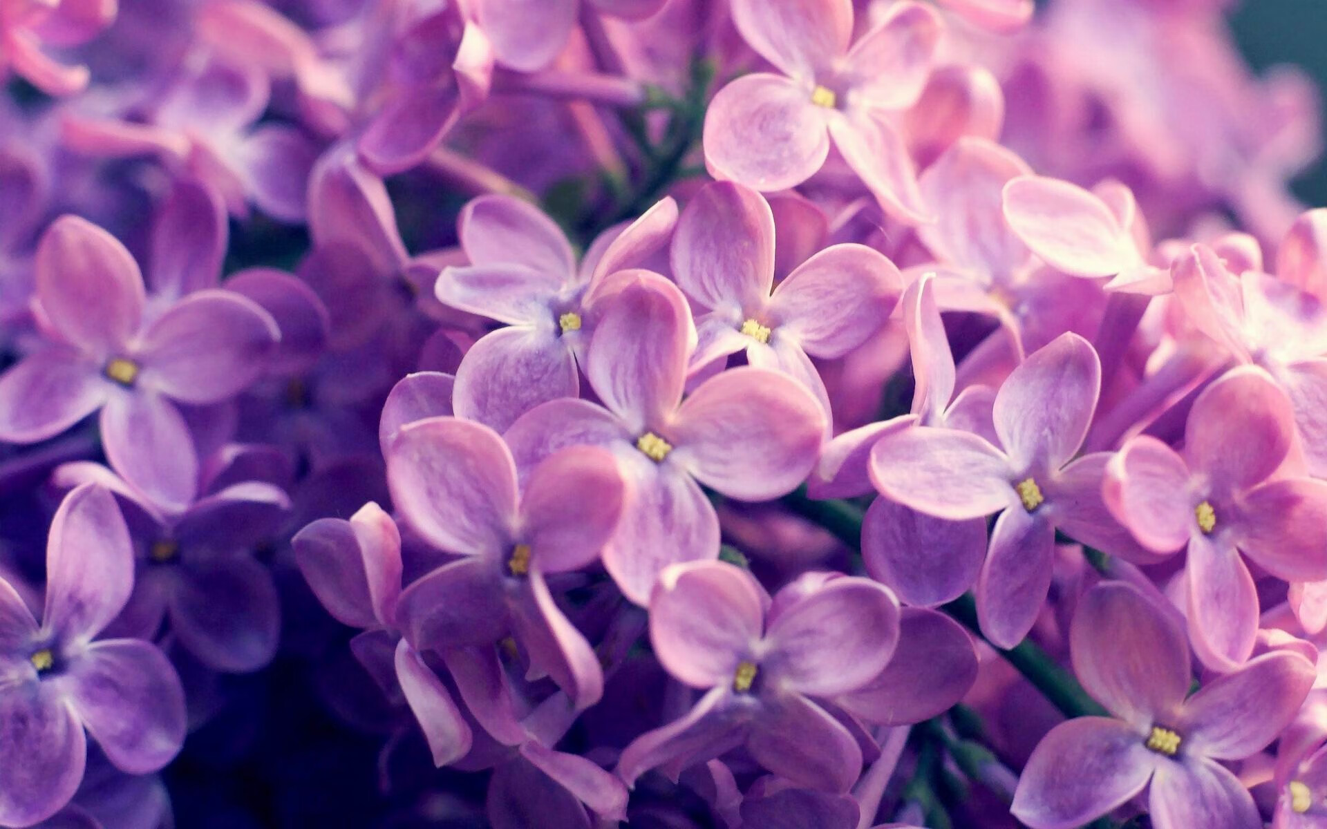 九游体育网站-【世界冠军】丁俊晖与奥沙利文的比赛策略对比分析，丁俊晖和奥沙利文的比赛结果