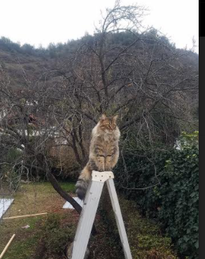 山地穿越生态挑战赛，绿色出行新时尚，山地越野赛道设计图