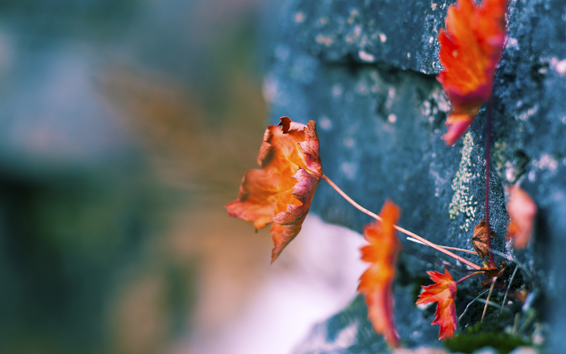 意甲激战，专家点评战术调整，意甲冲突